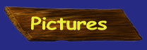 Pictures